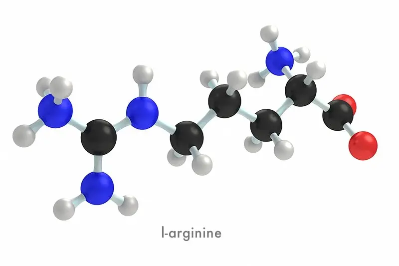 Zinc et L-Arginine